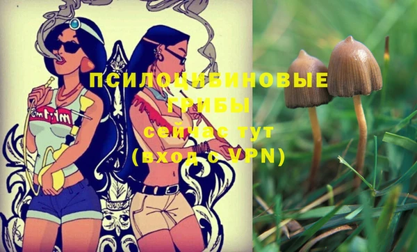 прущие крисы Богданович